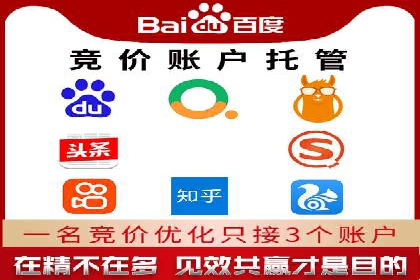 专业sem竞价托管服务，案例解析提升广告效果